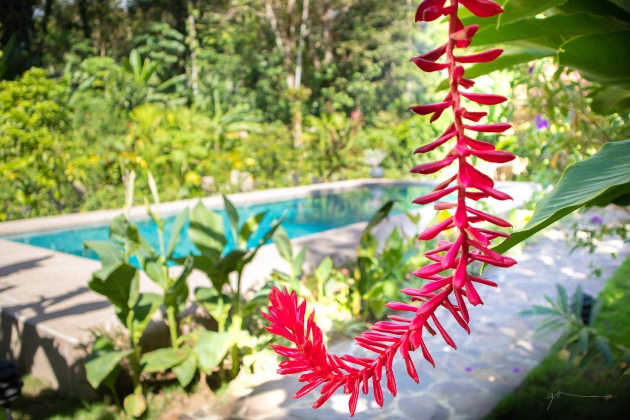 Hotel Casa Merlin Puerto Viejo de Talamanca エクステリア 写真