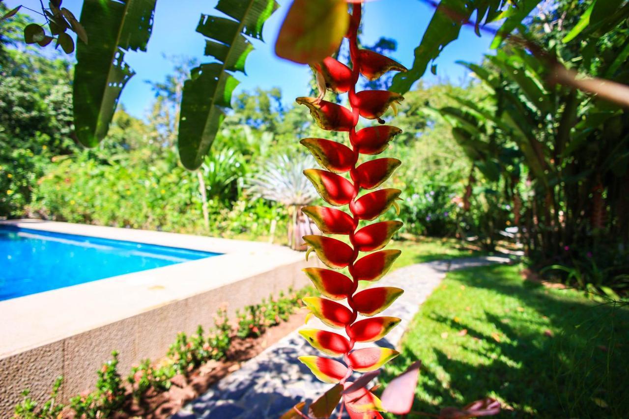 Hotel Casa Merlin Puerto Viejo de Talamanca エクステリア 写真