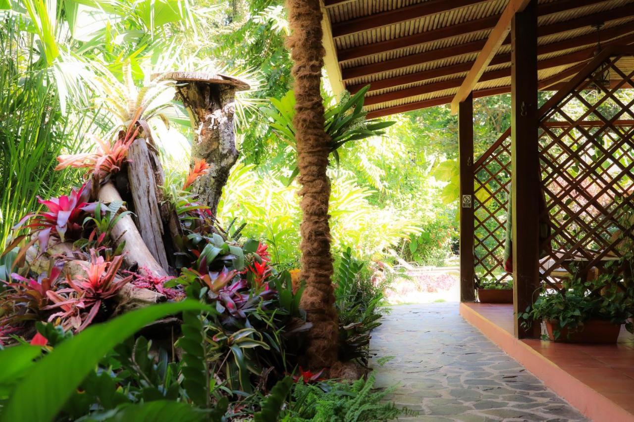 Hotel Casa Merlin Puerto Viejo de Talamanca エクステリア 写真