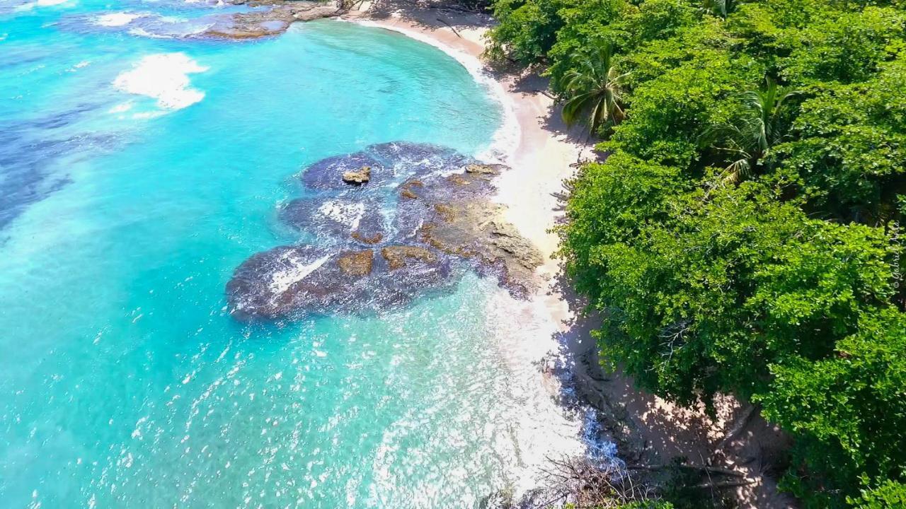 Hotel Casa Merlin Puerto Viejo de Talamanca エクステリア 写真